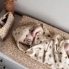 Noppies Badecapes & Wickeltücher | Zuhause-Badecape Printed Duck Baby Hooded Towel -