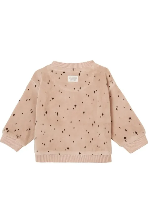Noppies Pullover-Sweater Gaspe -