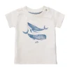 Noppies T-Shirts-T-shirt Montevallo -