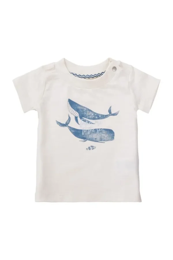 Noppies T-Shirts-T-shirt Montevallo -